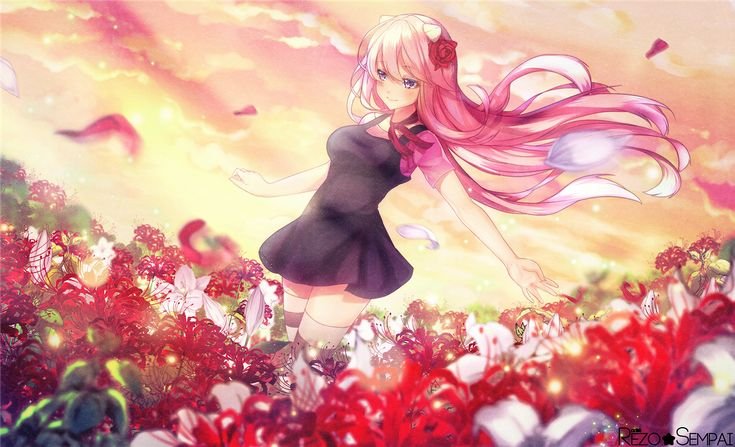 Qual o significado do lírio-aranha vermelho nos animes Qual o significado do lírio-aranha vermelho nos animes