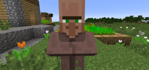 Confira qual é a função do Aldeão do Minecraft