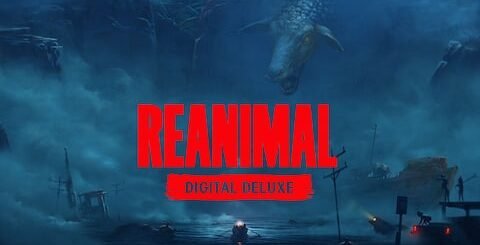 Conheça os requisitos de Reanimal