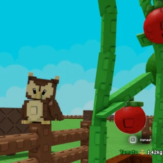 Como conseguir a coruja em Grow a Garden 2 Como conseguir a coruja em Grow a Garden 2