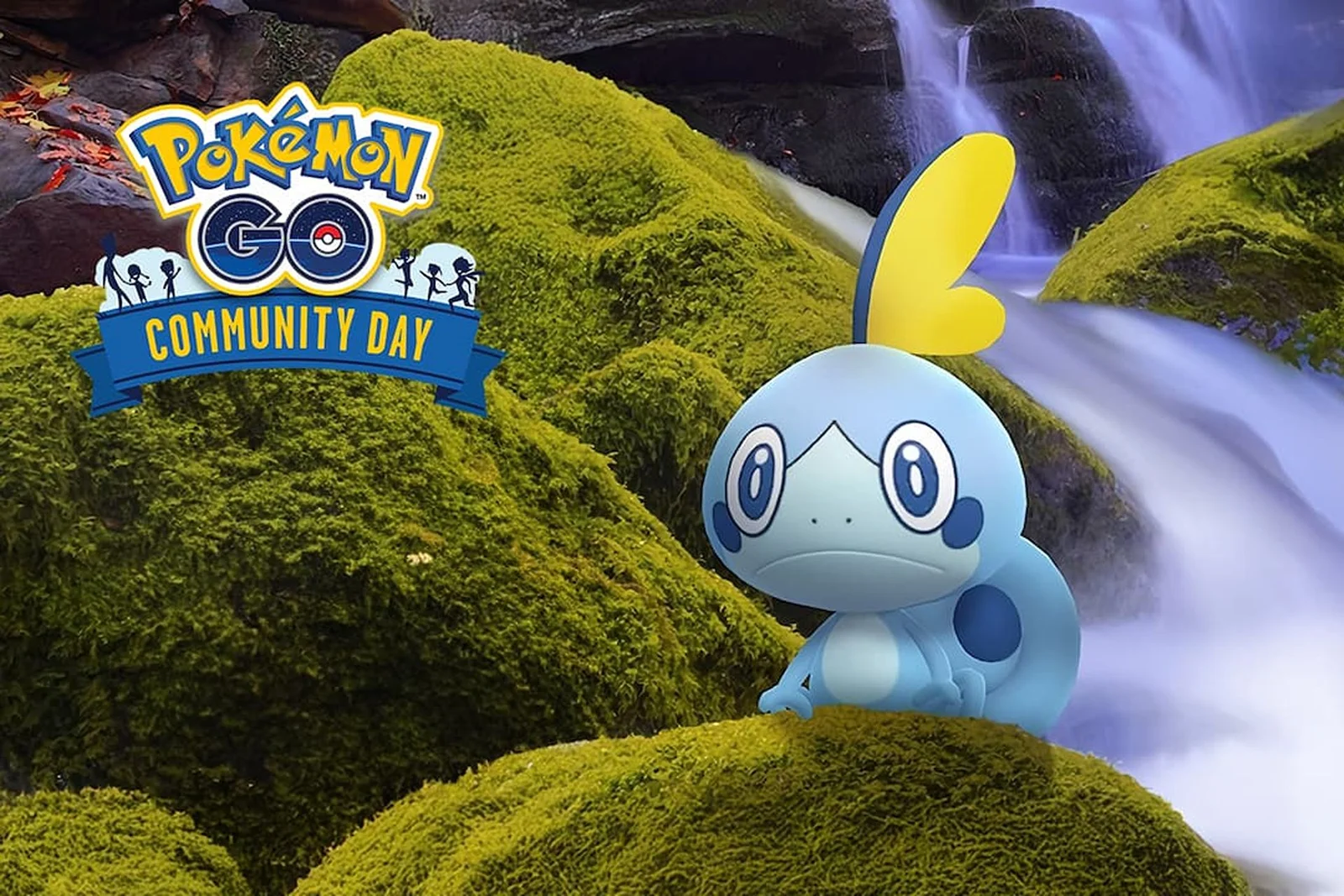 Evento de Sobble no Pokémon Go: Confira como participar